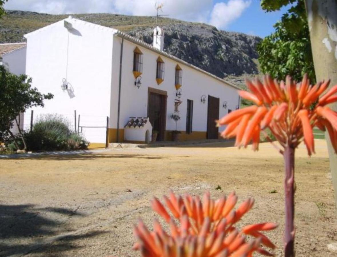 فيلا Complejo Cortijo Rural El Puntal Teba المظهر الخارجي الصورة
